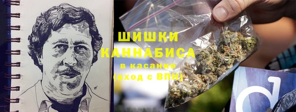 амф Белокуриха